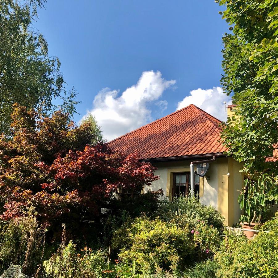 Modryna Ranczo Bed & Breakfast Krasiczyn Eksteriør bilde