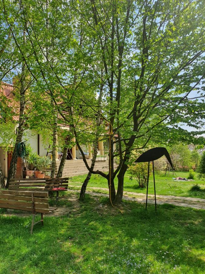 Modryna Ranczo Bed & Breakfast Krasiczyn Eksteriør bilde