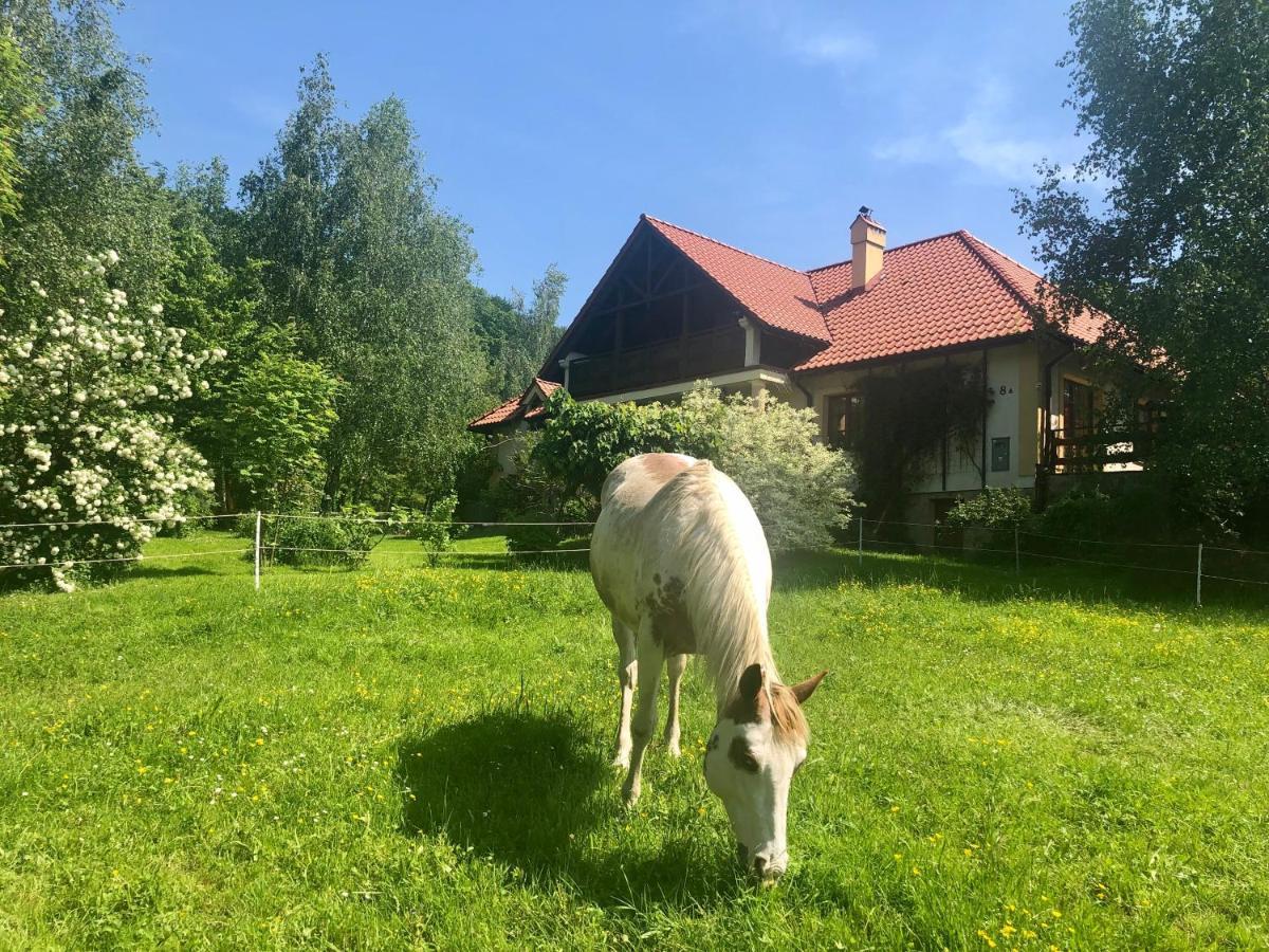 Modryna Ranczo Bed & Breakfast Krasiczyn Eksteriør bilde